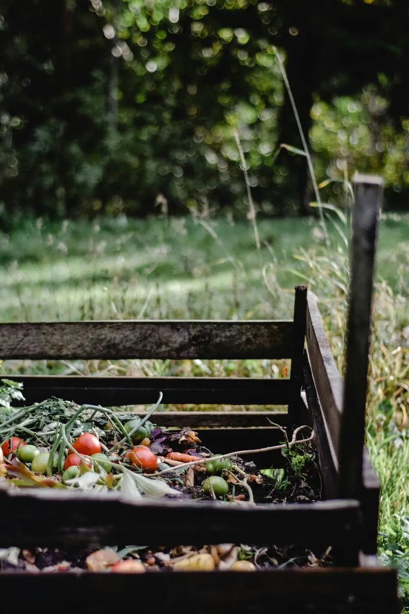A compost pile with vegetable scraps, leaves, and soil